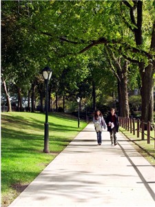 Students on Campus